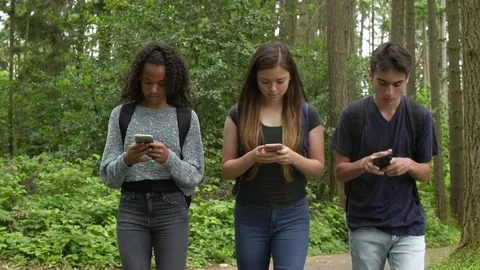 Students looking at their smartphones while walking in a forest Video stock 83399218