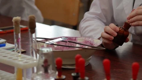 Students. Medical research Vídeo Stock 76458752