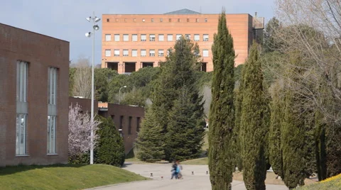Students Near The Institution Stock Footage 48723889
