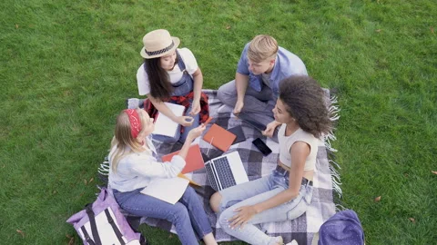 Students (or friends) sitting on the grass, positive talking with each other. Stock Footage 120250040