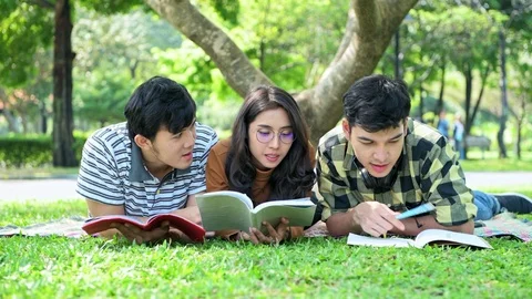 Students in park. Study together. Stock Footage 92271767