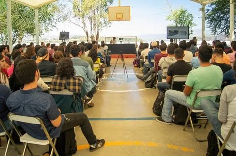 Students paying attention to a lecture given by a woman, projecting about books Stock Photos