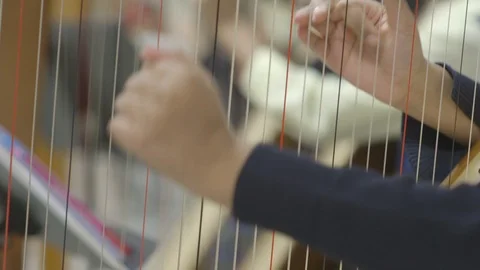Students playing the harp Stock Footage 121168138