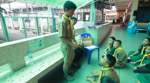 Students playing Predict the Game. Stock Footage 55121766