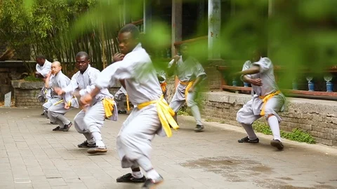 Students practicing Kung fu Stock Footage 88728252