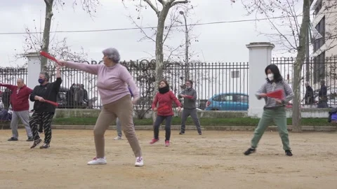 Students practicing TaiChi in a park Stock Footage 196056763