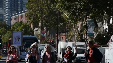 Students protest against climate change in London on 20th september Stock Footage 116447697
