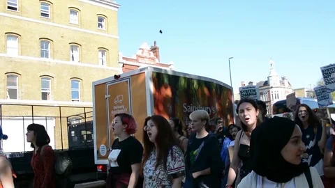 Students protest against climate change in London on 20th september Stock Footage 116447706