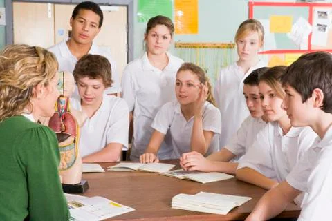 Students receiving a biology lesson in classroom Stock Photos