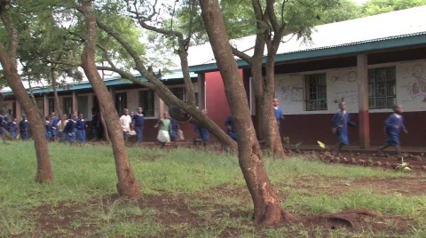 Students in school in Tanzania Видео 728466