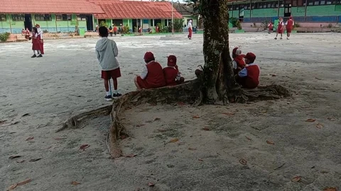 Students in the school yard part 1 Video stock 207411434