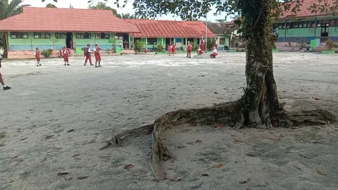 Students in the school yard part 2 Video stock 207416676