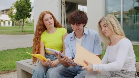 Students sharing knowledge on campus bench 動画素材 293122342