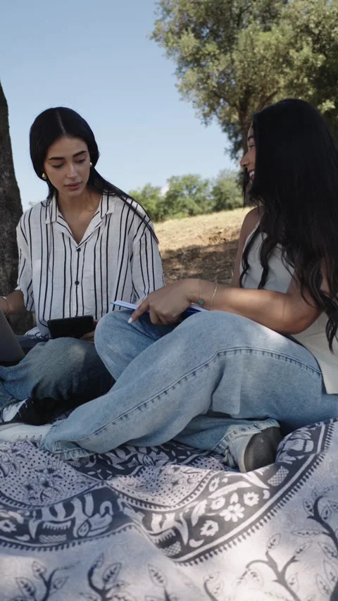 Students sharing knowledge under a tree in slow motion Stock Footage 316699295