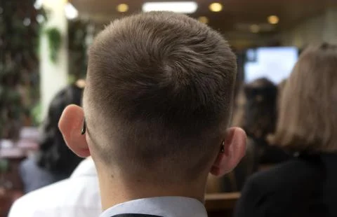Students sitting at a lecture in a classroom Stock Photos