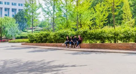 Students sitting on red brick wall Stock Photos