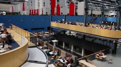 Students studying in campus building Stock Footage 39884824