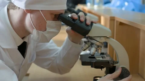 Students Studying Cells Under a Microscope Stock Footage 67463508