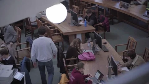 Students studying at the library Stock Footage 231432412