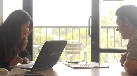 Students Studying in Library near Window 1 Stock Footage 703586