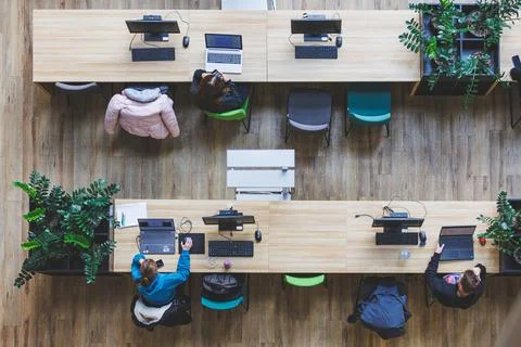 Students studying on library. Top view shot Foto stock