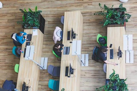 Students studying on library. Top view shot Stock Photos