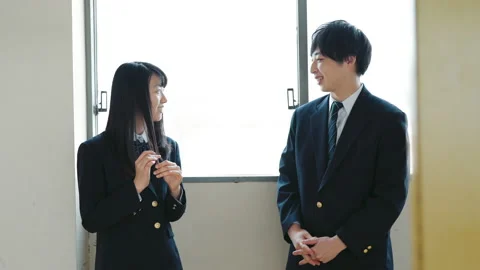 Students talking in school corridors Stock Footage 162281584