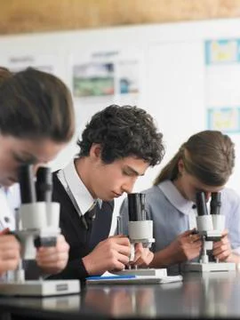 Students Using Microscopes In Laboratory Stock Photos