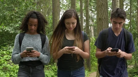 Students using their smartphones while walking in a forest Stock Footage 83399207