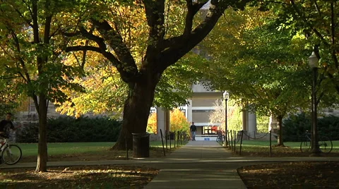 Students walk through campus Stock-Footage 5164820