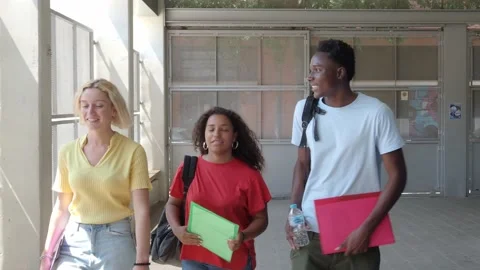 Students walking and talking to each other on campus or in high school Stock Footage 202165164
