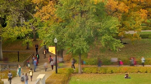 Students Walking on a Campus Path in Autumn Video stock 56711892