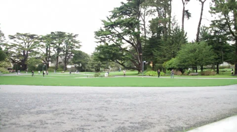 Students walking on the College Campus Stock Footage 36147563