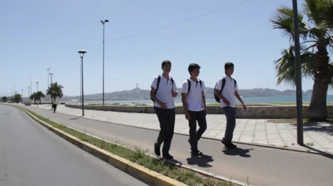 Students Walking Stock Footage 46386759