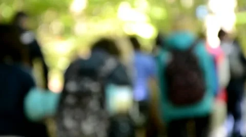 Students walking on forest road Stock Footage 43255863