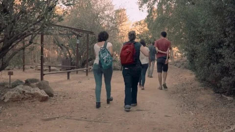Students walking in park Video stock 81232828
