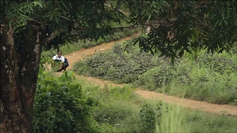 Students walking on path in bush Stock Footage 111037243