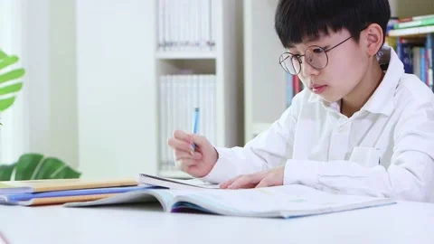 Students who focus on their studies and study hard Stock Footage 170114778