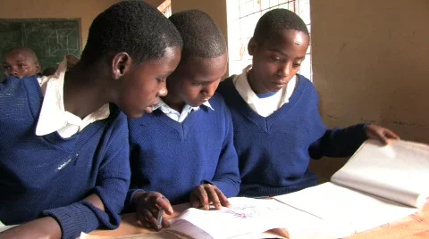 Students Work Together  Stock Footage 728516