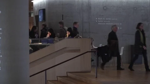 Students working in Denmark Stock Footage 83831502