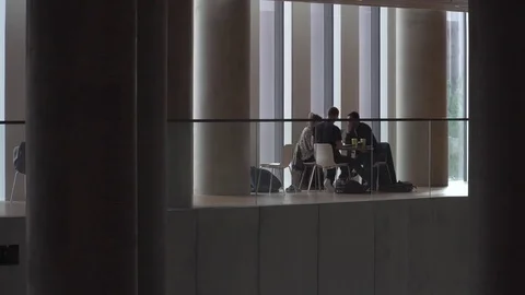 Students working in Denmark Stock Footage 83831628