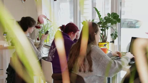 Students Working with Laptops in a Bright Cafe with Window View Stock Footage 331144638