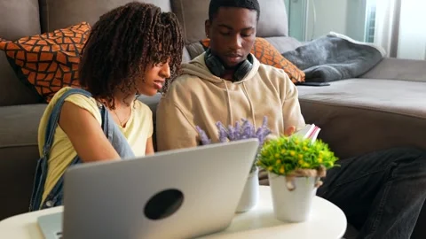 Students working on project together at home Stock Footage 307290311