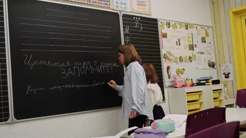 Students writing on blackboard, working as team on lesson task. Learning in Stock Footage 311526211