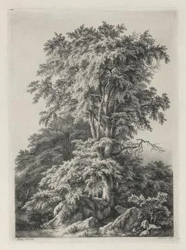 Studies Drawn and Engraved after Nature: The Beach, Fontainbleau (tudes des.. Ilustración de archivo