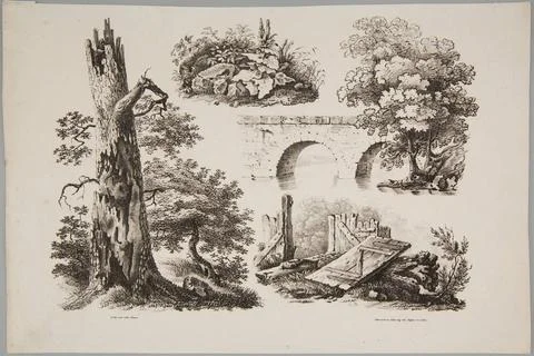 Studies of plant and architectural elements Bauer, Johann Balthazar (1811 ... Stock Photos