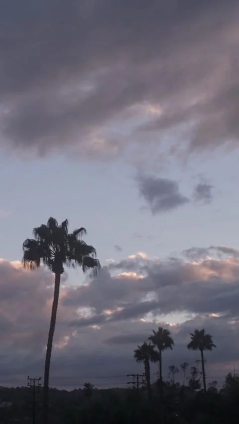 Studio City dusk timelapse palm trees dark clouds 스톡 동영상 342669442