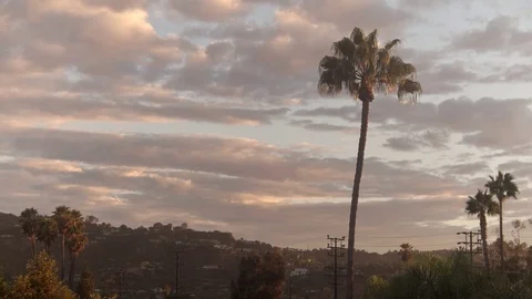Studio City sunset timelapse palm trees soft clouds Stock Footage 95976224