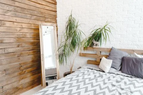Studio daylight interior with mirror, plant in vase, bed and pillows Stock Photos