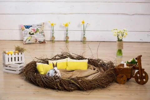 Studio Easter decorations..White fluffy Easter bunny sitting in a large nest  Stock Photos